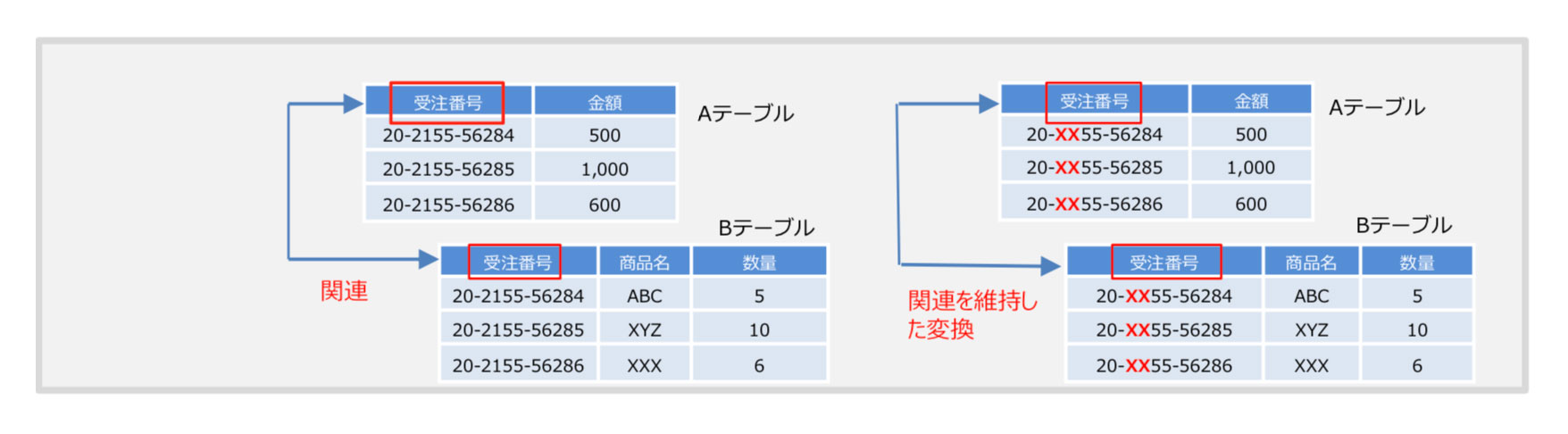 画像_テストエースPLUS05