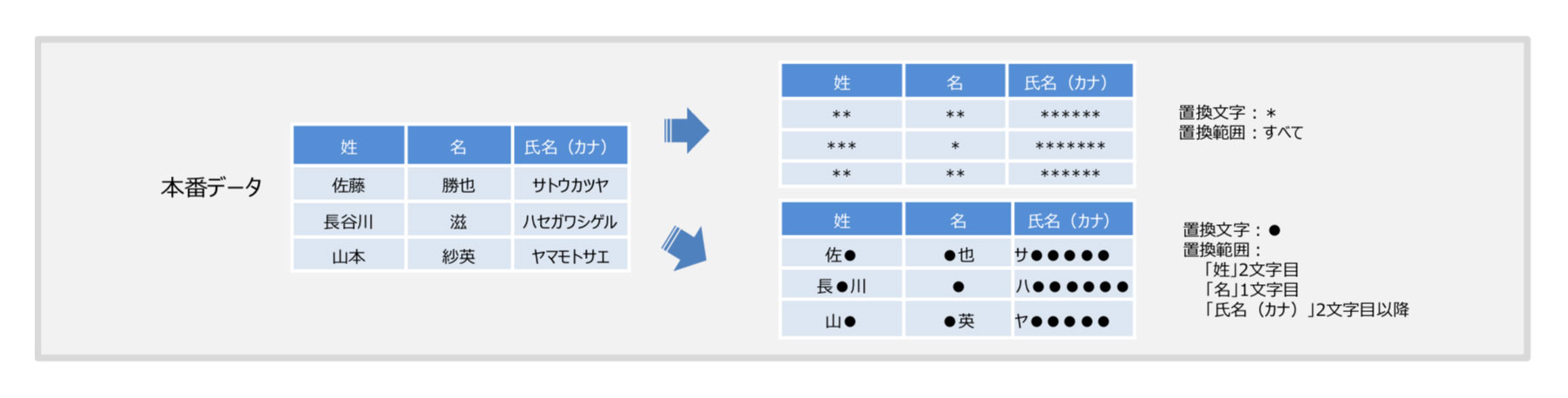 画像_テストエースPLUS07