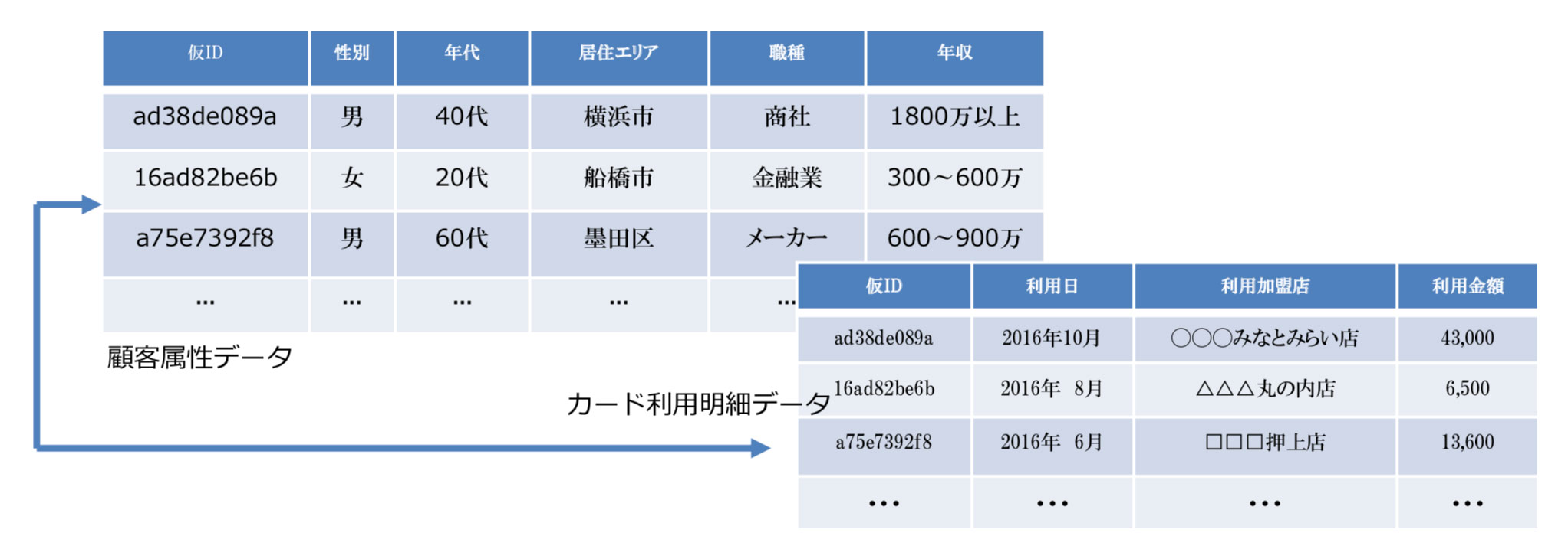 画像_テストエースPLUS13